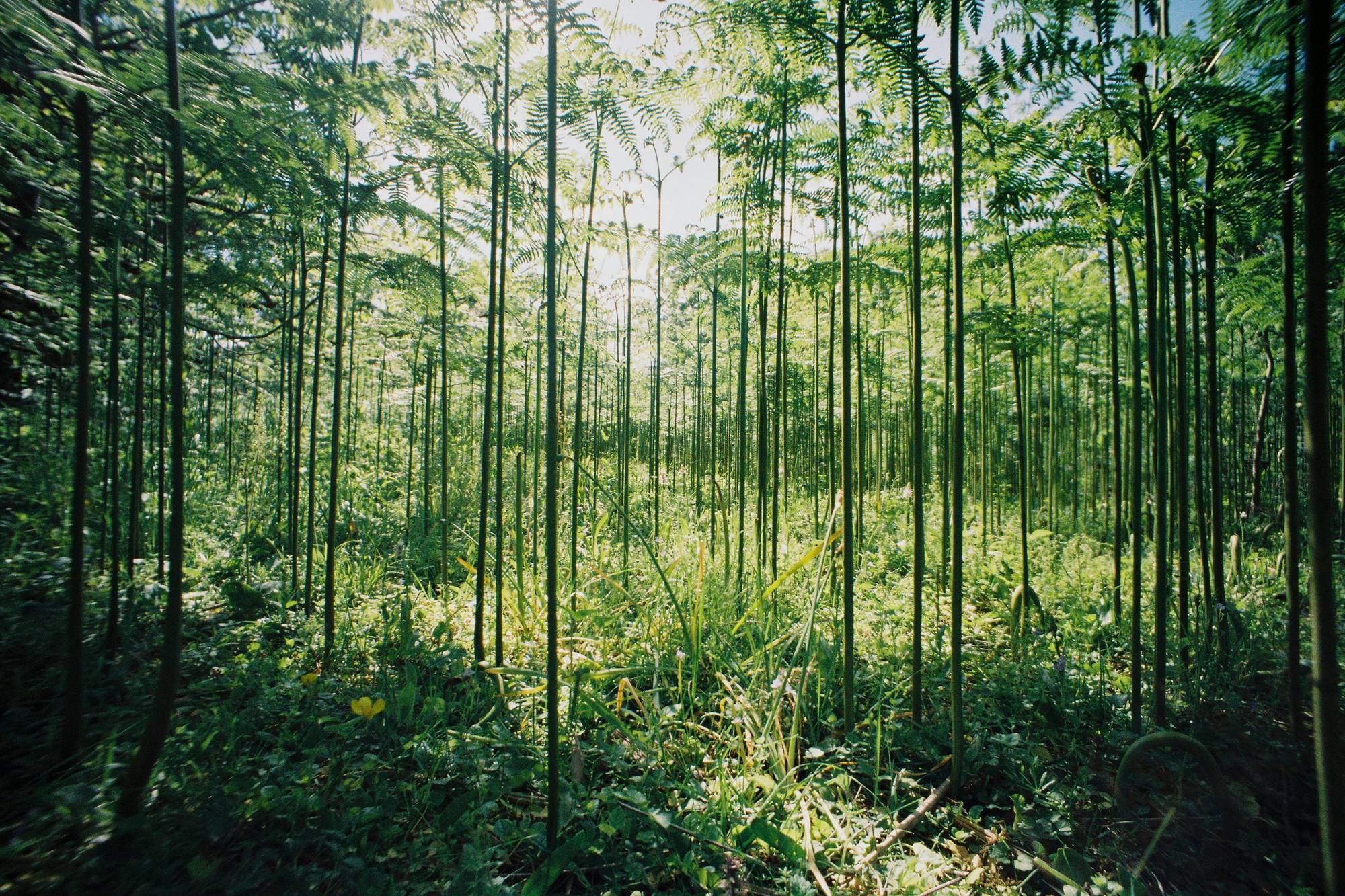 Sustentabilidade